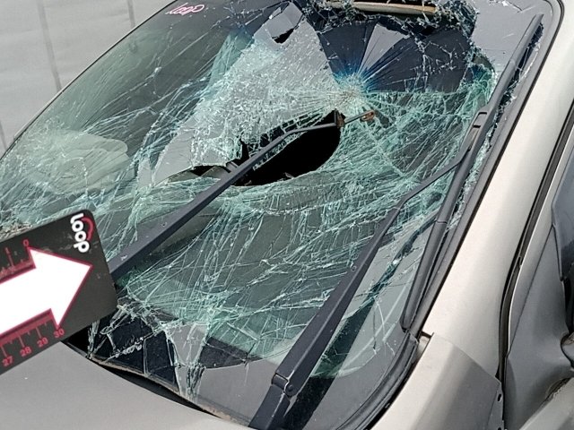 Vehicle_photo_19