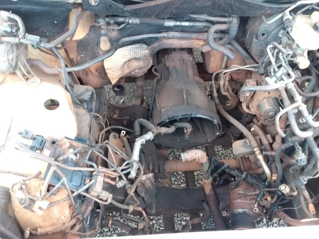 Vehicle_photo_20