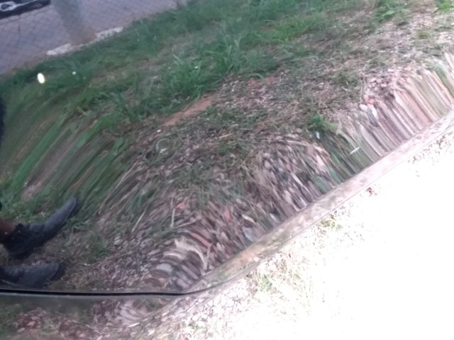 Vehicle_photo_19