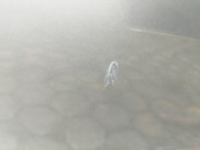 Vehicle_photo_19