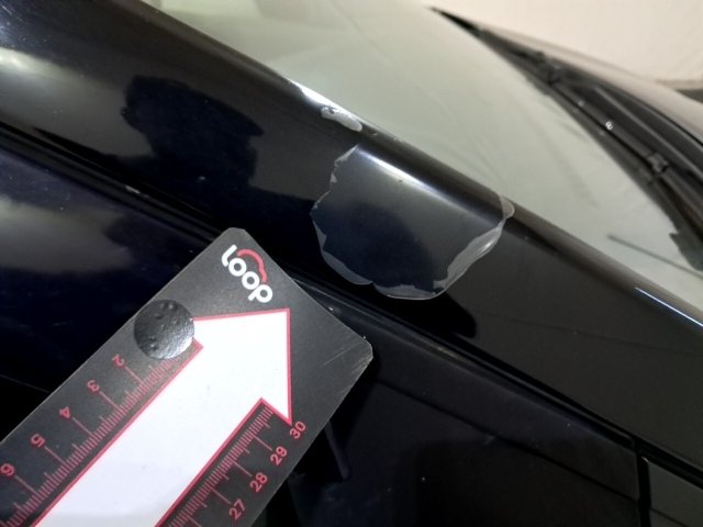 Vehicle_photo_41