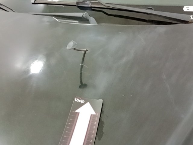 Vehicle_photo_20
