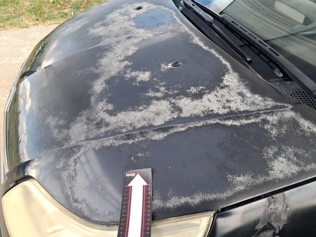 Vehicle_photo_31