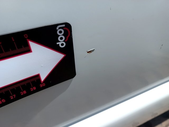 Vehicle_photo_20
