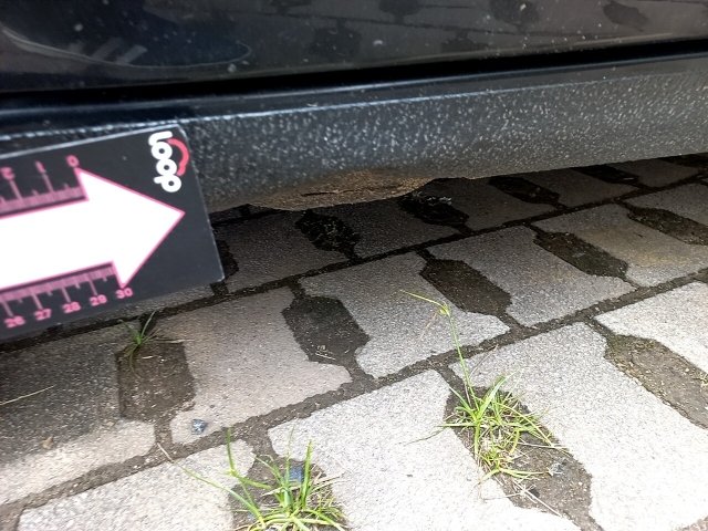 Vehicle_photo_21
