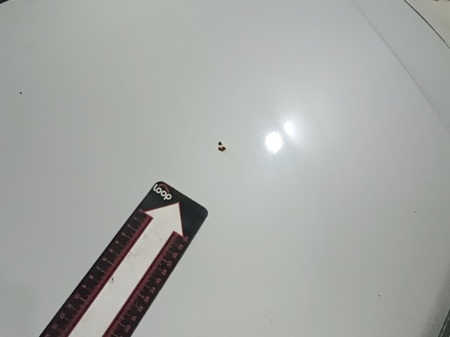 Vehicle_photo_33