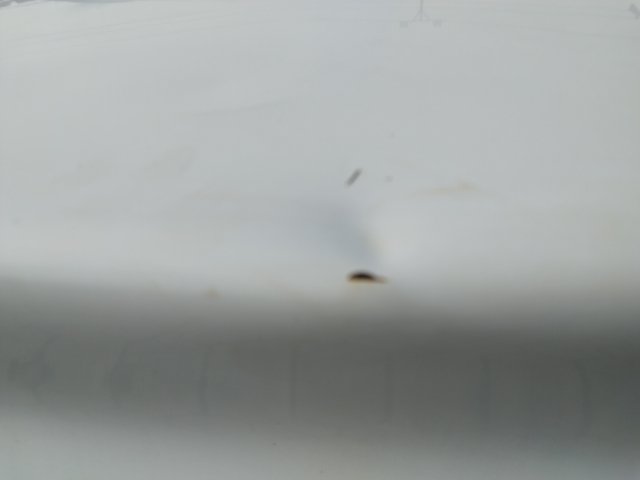 Vehicle_photo_21