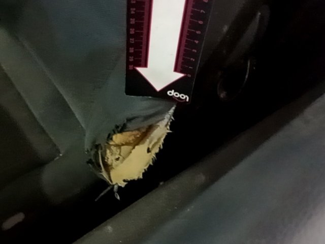 Vehicle_photo_25