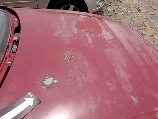 Vehicle_photo_21