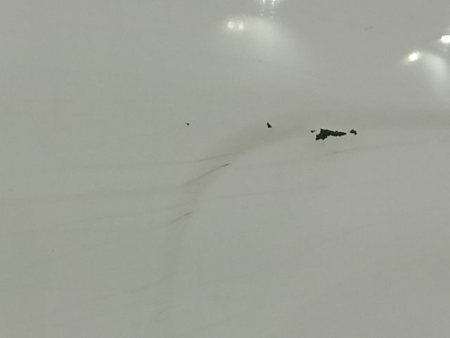 Vehicle_photo_21