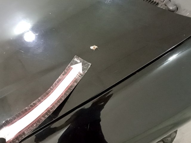 Vehicle_photo_31
