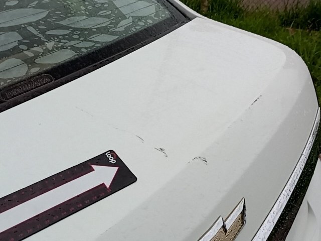Vehicle_photo_22