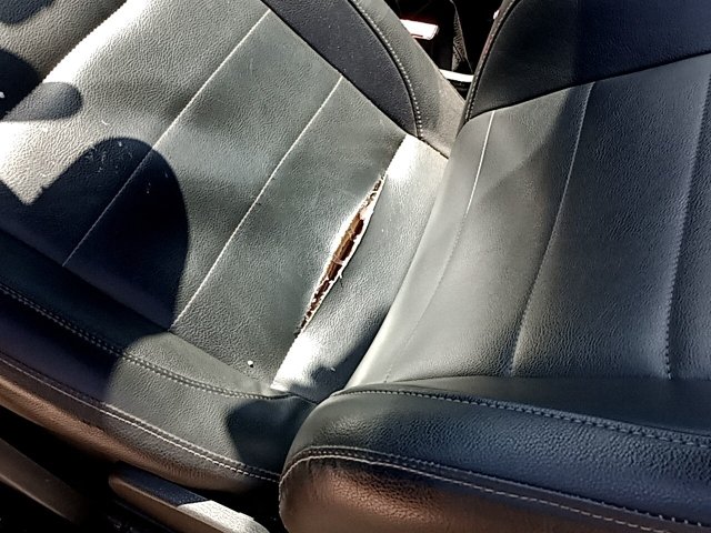 Vehicle_photo_32