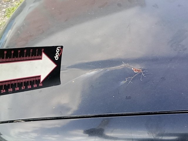 Vehicle_photo_33