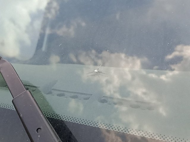 Vehicle_photo_22