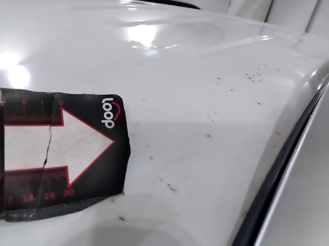 Vehicle_photo_33