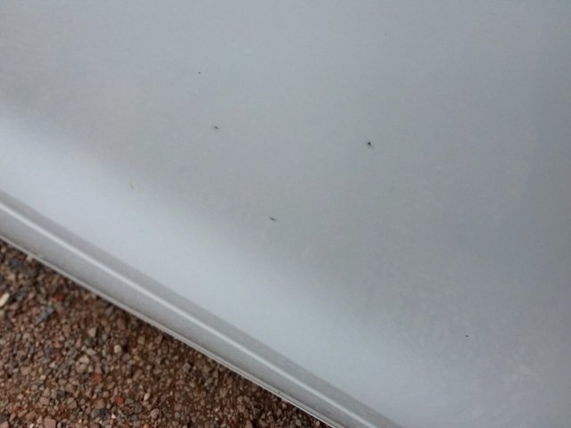 Vehicle_photo_23