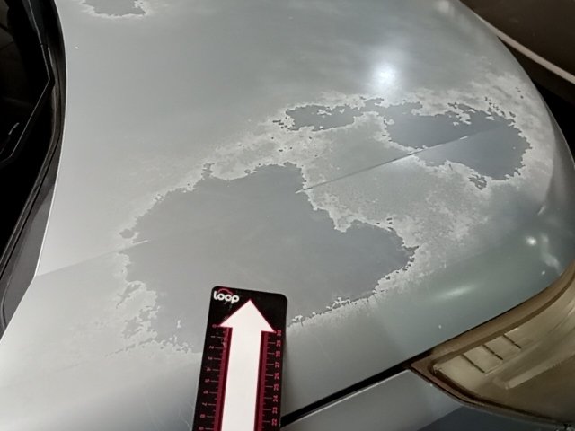 Vehicle_photo_33