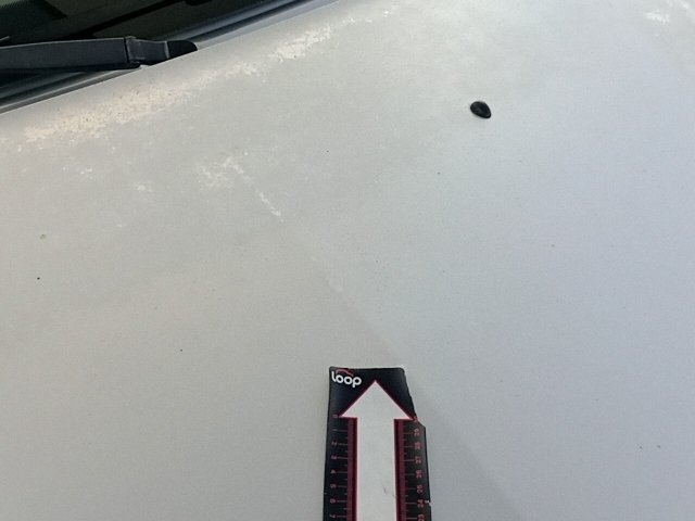 Vehicle_photo_33
