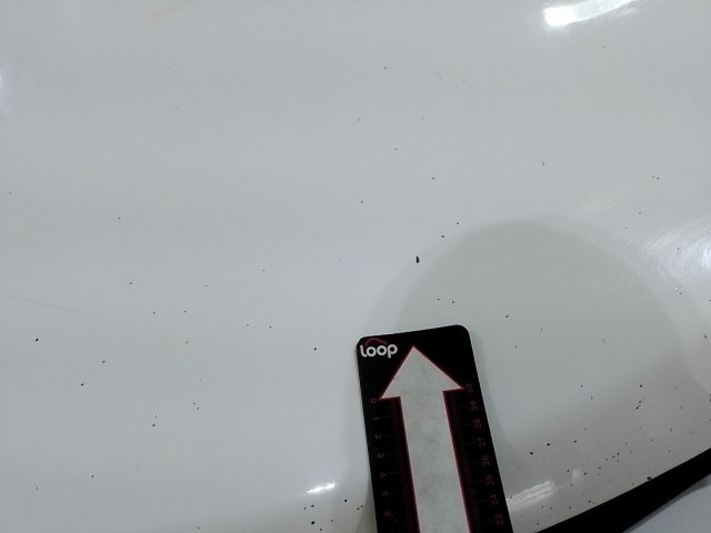 Vehicle_photo_34