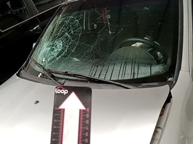 Vehicle_photo_34