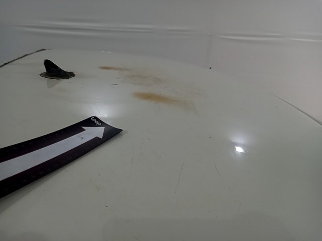 Vehicle_photo_22