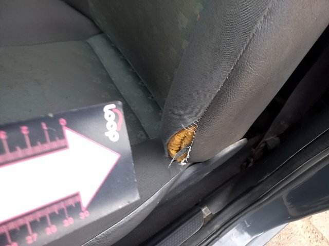Vehicle_photo_23