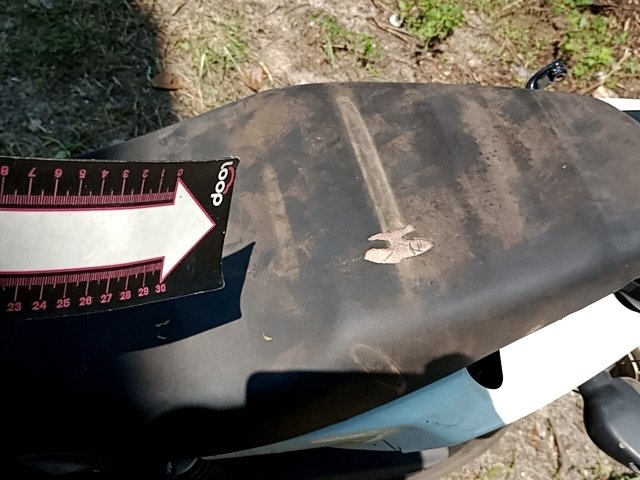 Vehicle_photo_23
