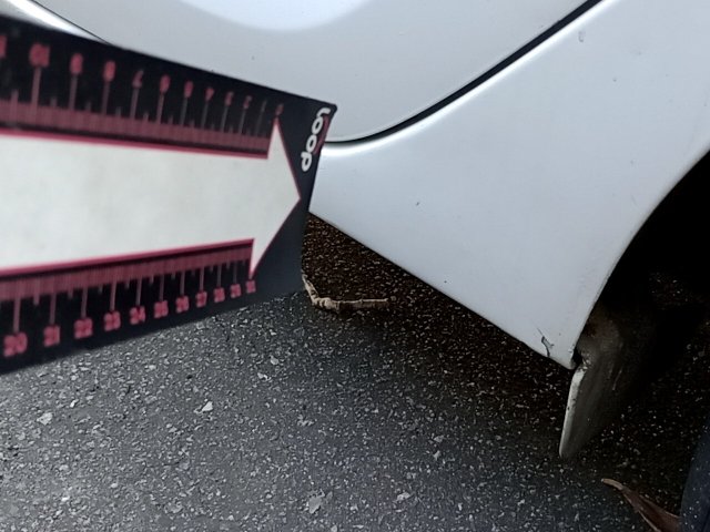 Vehicle_photo_36
