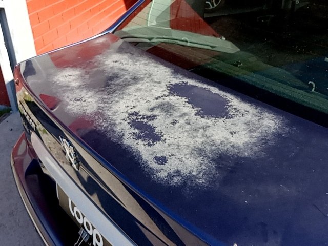 Vehicle_photo_24