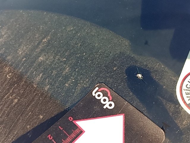 Vehicle_photo_39