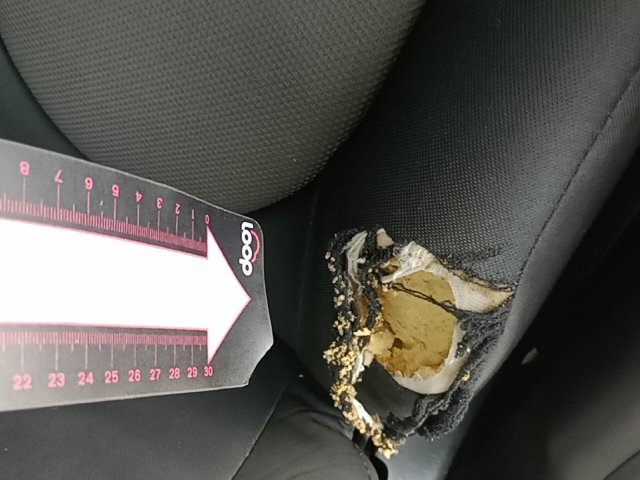 Vehicle_photo_36