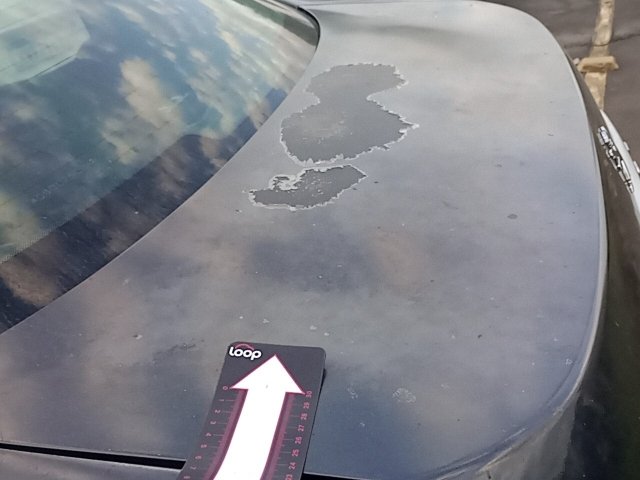 Vehicle_photo_25