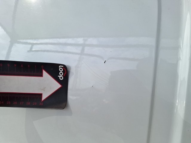 Vehicle_photo_25