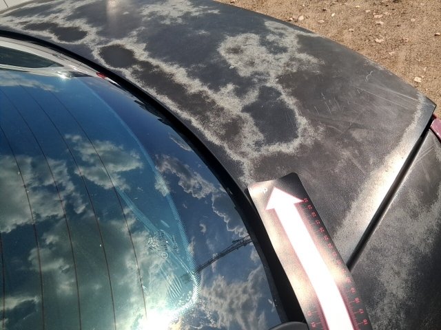 Vehicle_photo_22