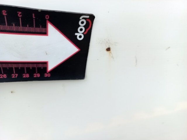 Vehicle_photo_26