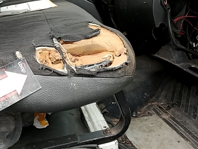 Vehicle_photo_21