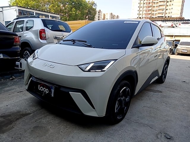 BYD DOLPHIN MINI GS EV Frente Motorista