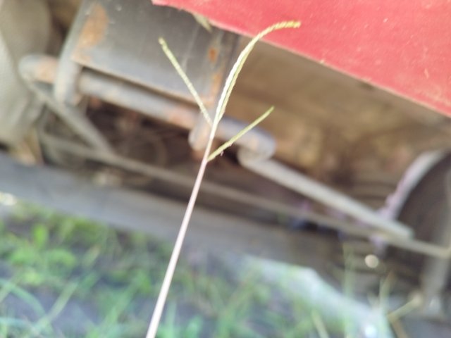 Vehicle_photo_17