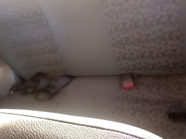 Vehicle_photo_10