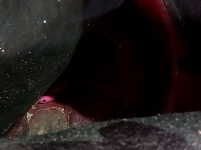 Vehicle_photo_17
