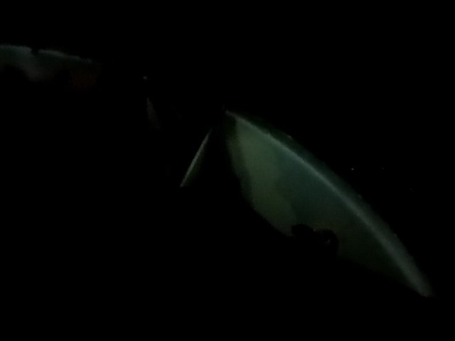 Vehicle_photo_15