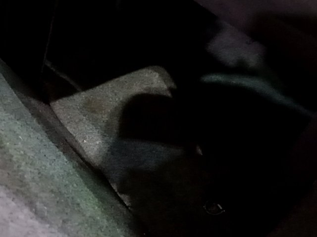 Vehicle_photo_9