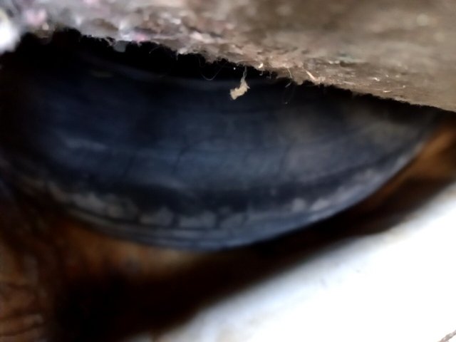 Vehicle_photo_17