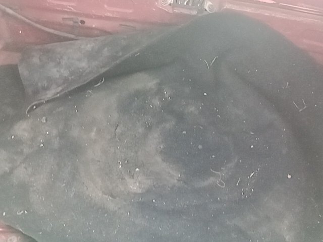 Vehicle_photo_11