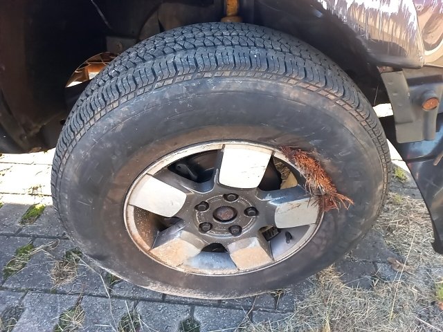 Vehicle_photo_14