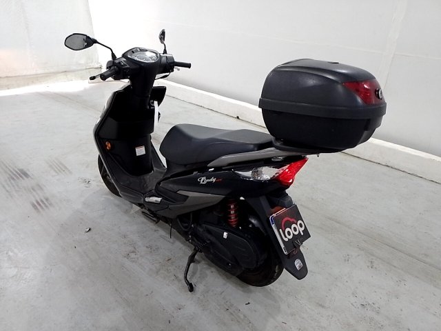 HAOJUE LINDY 125 Traseira Motorista