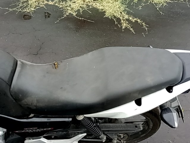 Vehicle_photo_11