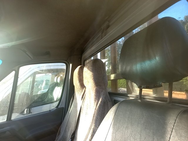 Vehicle_photo_10