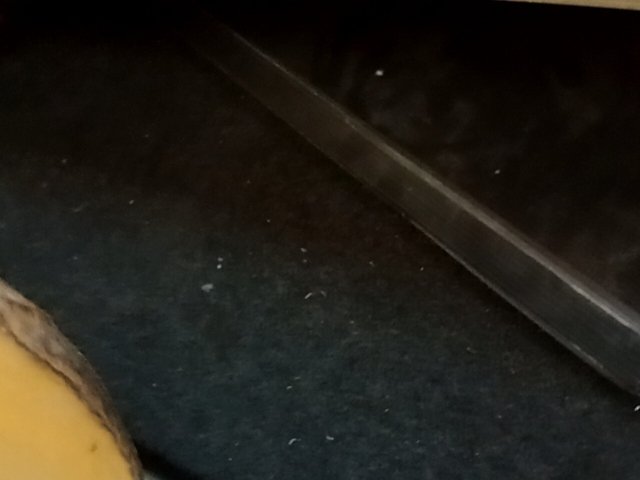Vehicle_photo_17